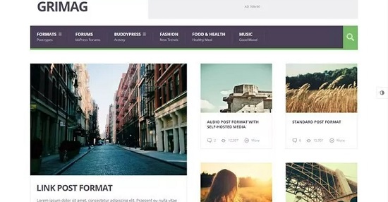 WordPress Tips: Select A Good Theme